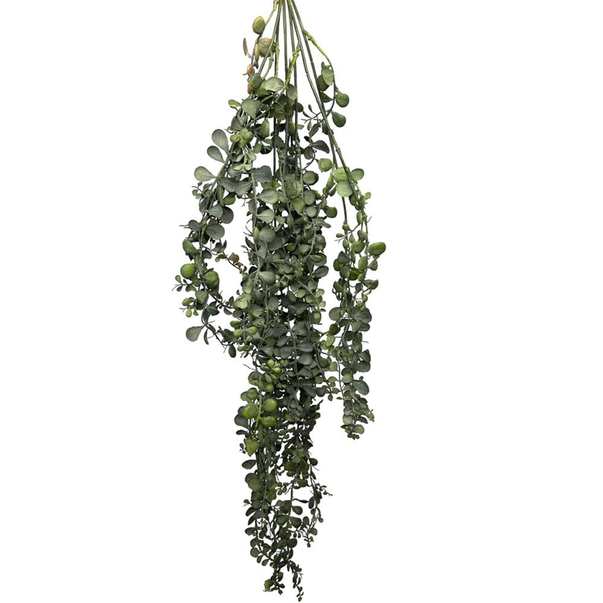 Roberts collection plante artificielle suspendue dischidia vert 100cm