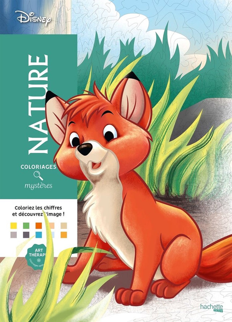 Hachette héros coloriages mystères disney - nature - coloriage par numéro - hachette - livre de coloriage pour adultes