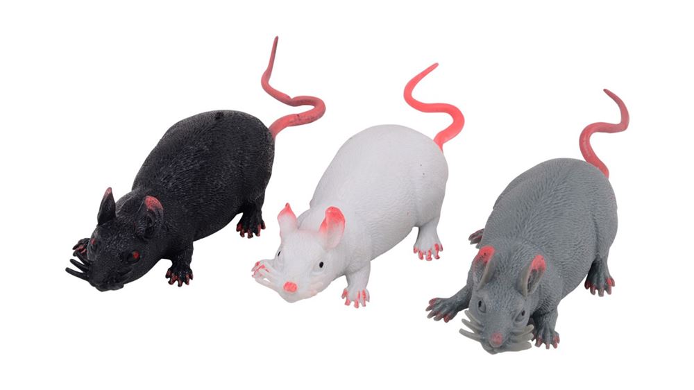 Johtoy stret rat big