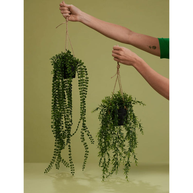 Emerald Emerald Art Plante suspendue dans Pot Ficus pumila 60 cm