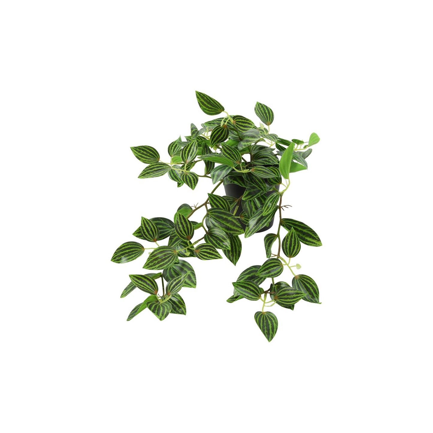 Bouchon de plante artificielle Countryfield suspendu peperomia vert