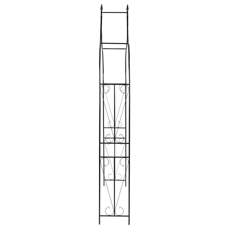 Vidaxl Garden Arch 120x38x258 cm en fer vert