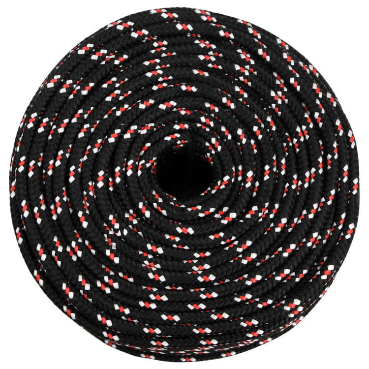 Corde à démarrage Vidaxl 10 mm 100 m de polypropylène noir