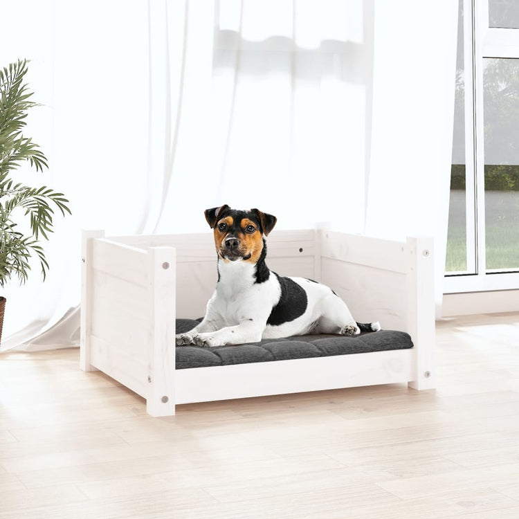 Vidaxl Dog Basket 55.5x45.5x28 cm Pine solide blanc