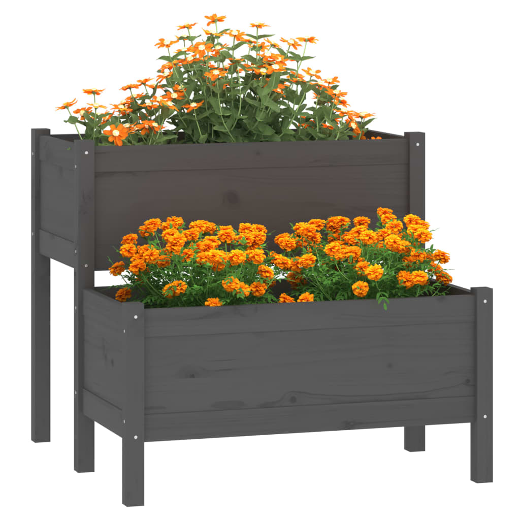 Vidaxl Planning Box 84.5x84x75 cm Gray de pin solide