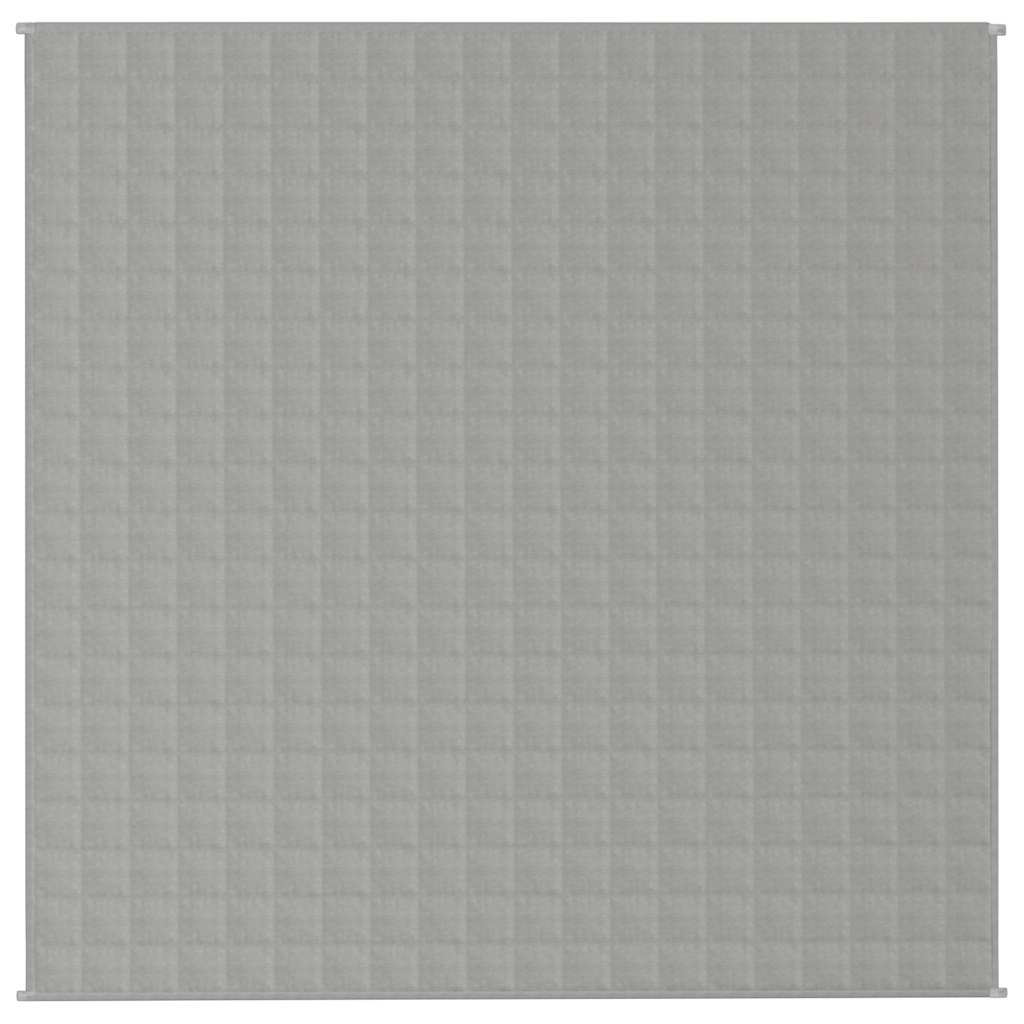 VIDAXL FAIBLAGE COUVERTURE 200X200 cm 9 kg de gris de tissu