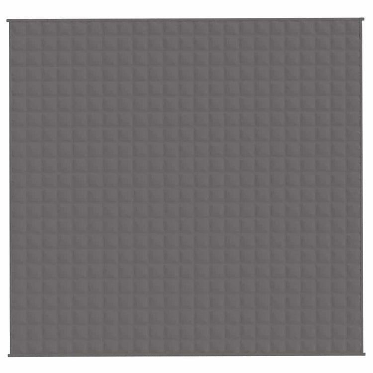 VIDAXL FAIBLAGE COUVERTURE 220X235 cm 11 kg tissu gris