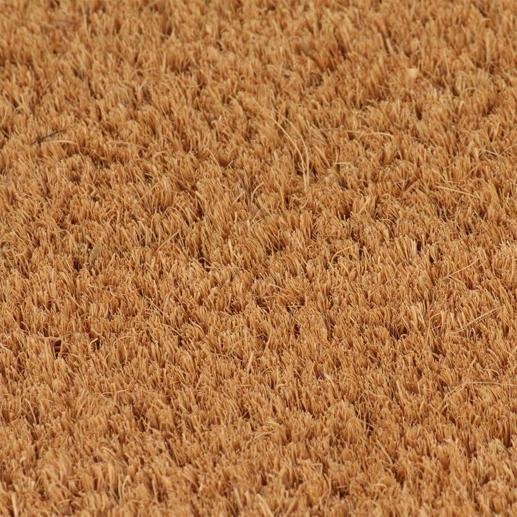 Vidaxl DOORMATS 2 PCS 40x60 cm Fibre de noix de coco tufted Natural