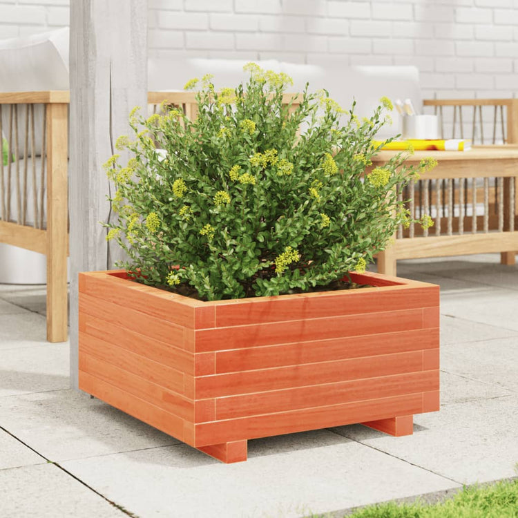 Vidaxl planteur 50x50x26,5 cm en pin massif brun