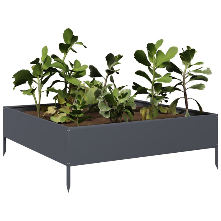 Vidaxl planter insenté 100x100x33.5 cm anthracite en acier -colore