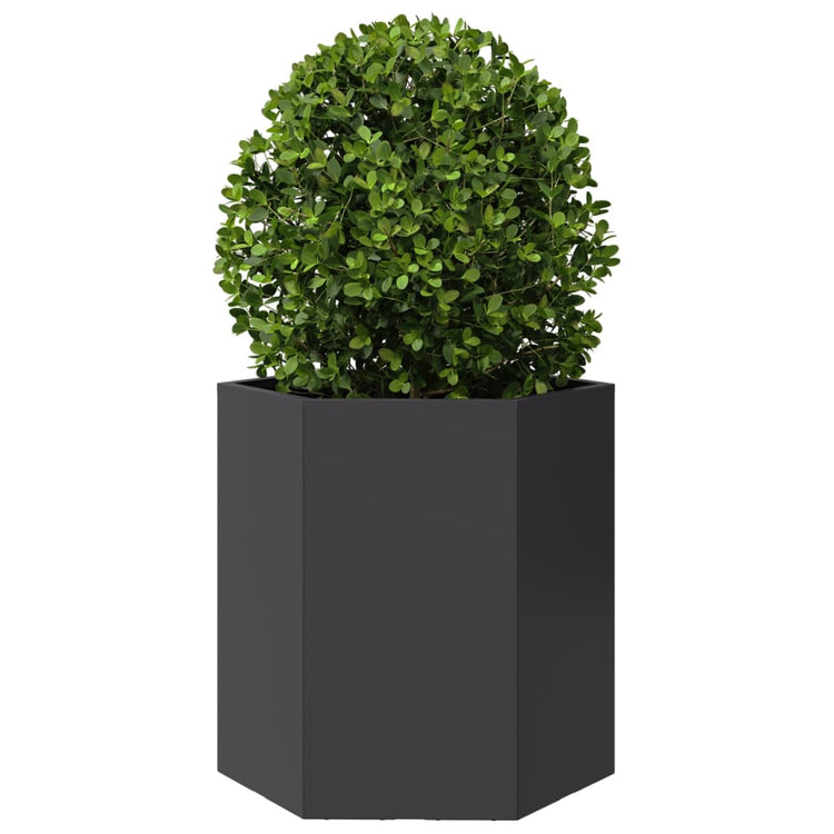 Vidaxl plannet hexagon 46x40x45 cm en acier noir