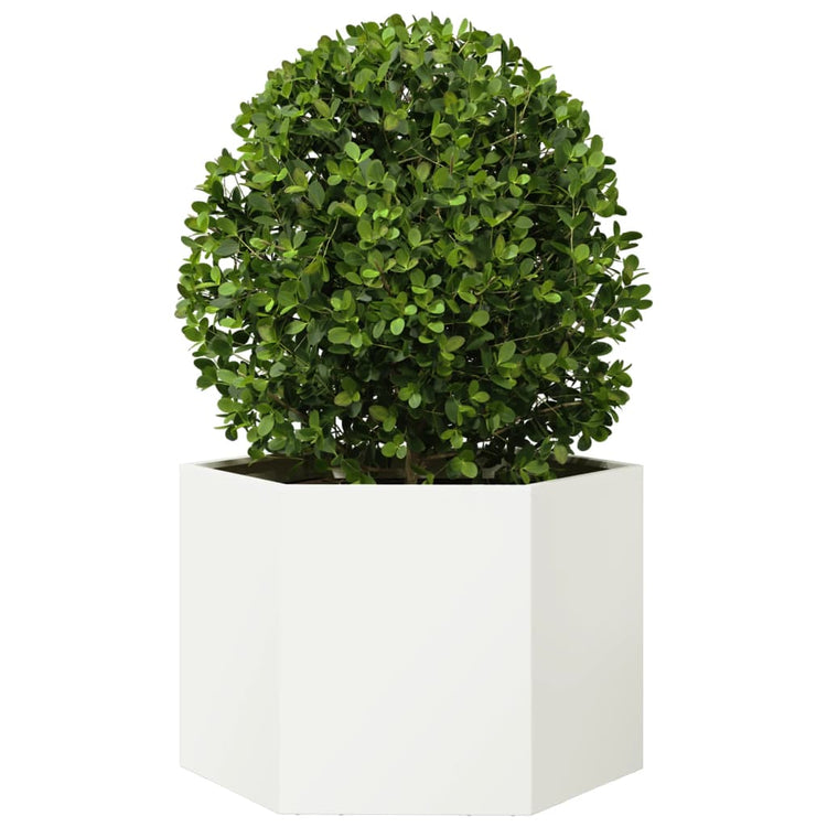 Vidaxl plannet hexagon 69x60x45 cm en acier blanc