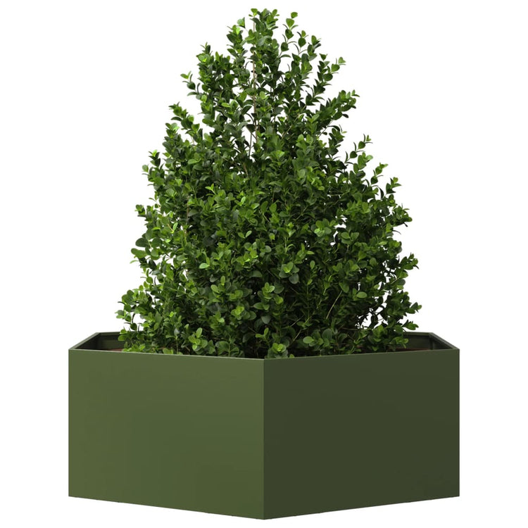 Vidaxl plannet hexagon 138x120x45 cm en acier olive vert