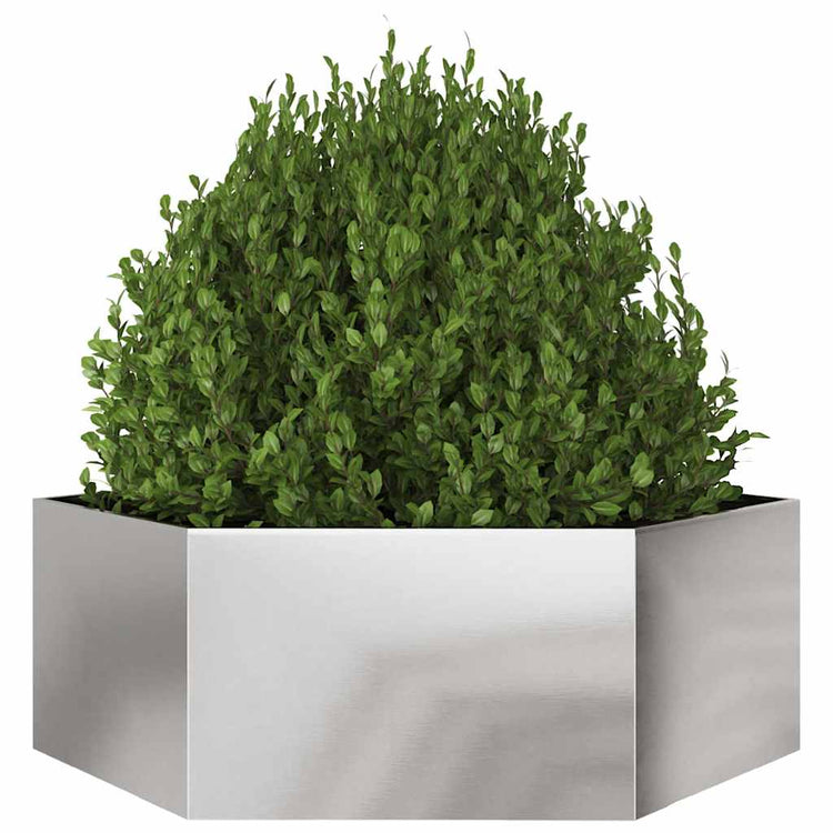 Vidaxl Planter Benket Hexagon 138x120x45 cm en acier inoxydable