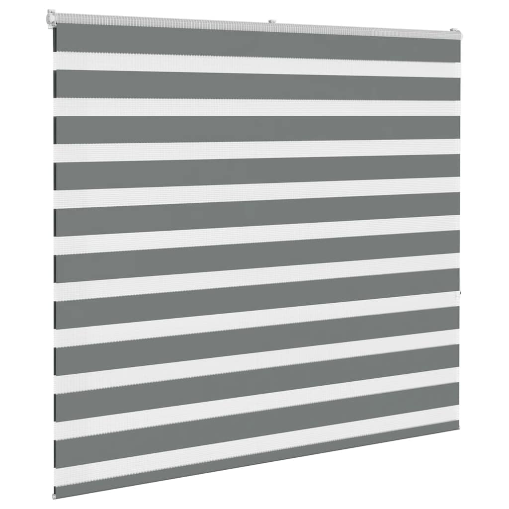 VidaXL store enrouleur zèbre 165x150 cm largeur de tissu 160,9 cm gris foncé