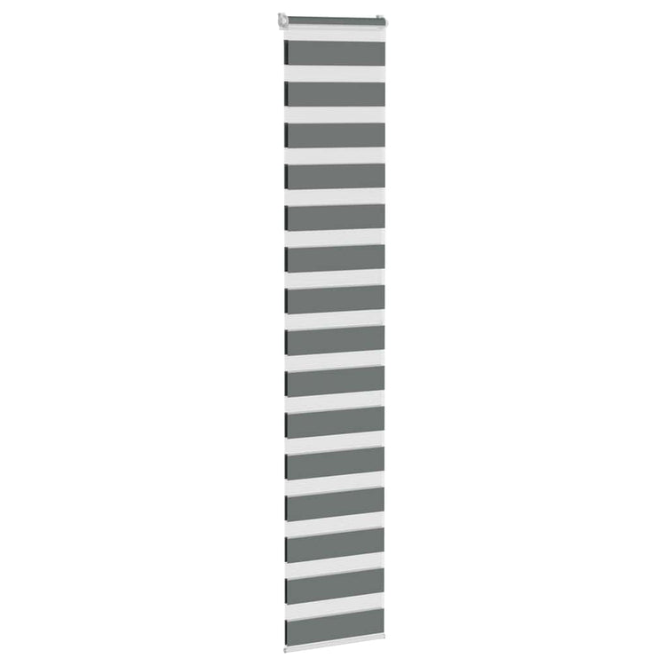 Vidaxl Zebra Rouleau aveugle 50x200 cm Largeur de poussière 45,9 cm gris foncé