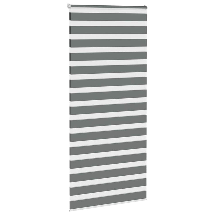 Vidaxl Zebra Rouleau aveugle 95x230 cm Largeur de tissu 90,9 cm gris foncé