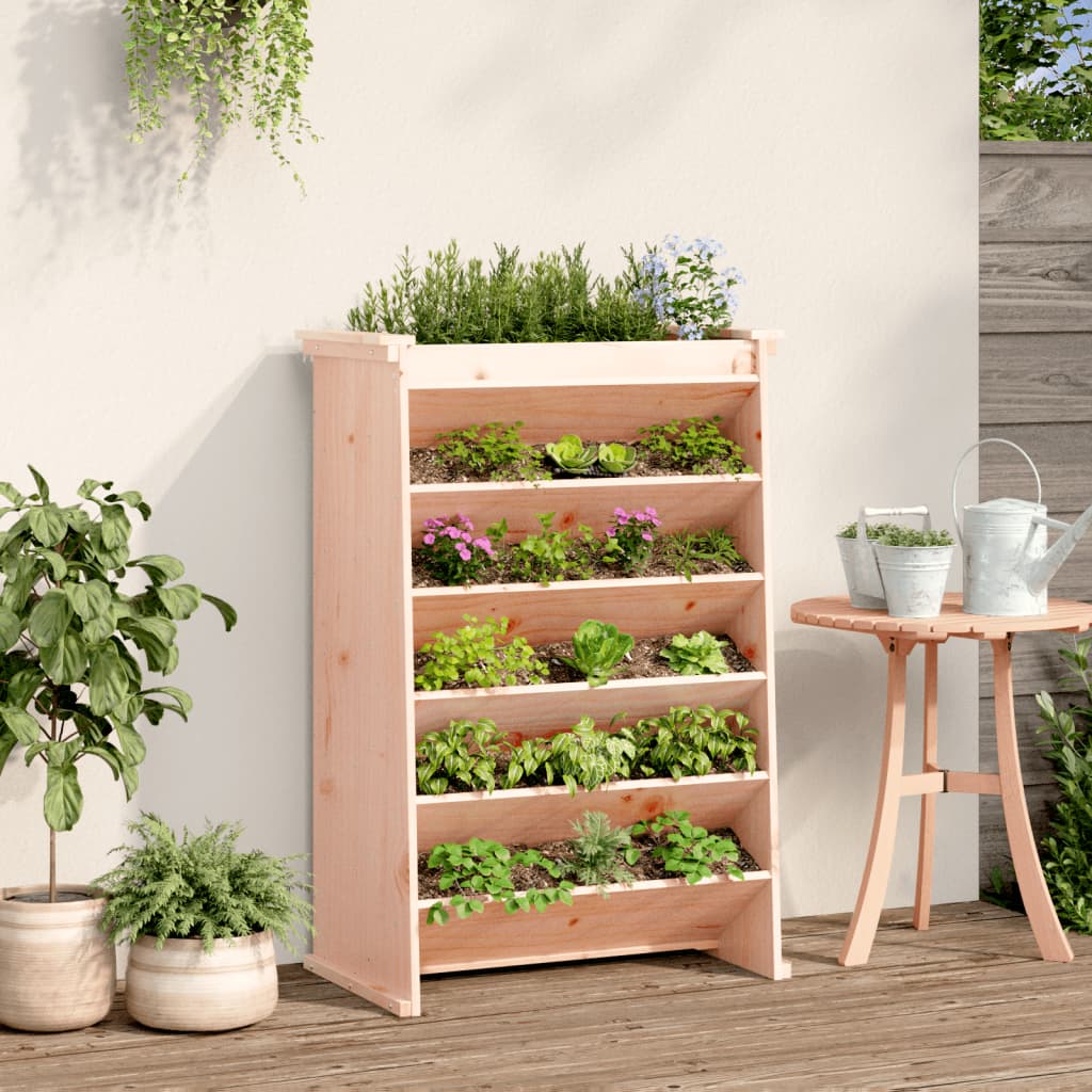Vidaxl Herb Box 6 couches 69x40x101,5 cm Solide Douglashout