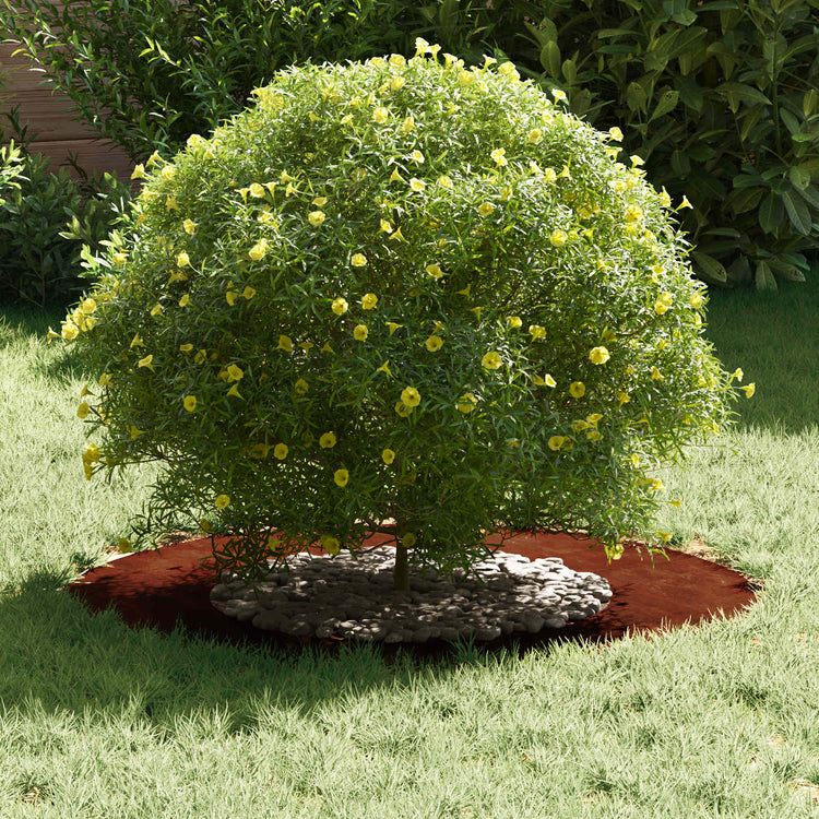 Vidaxxl adapté pour cerne d'arbre plat marron ø40 70 cm acier corten