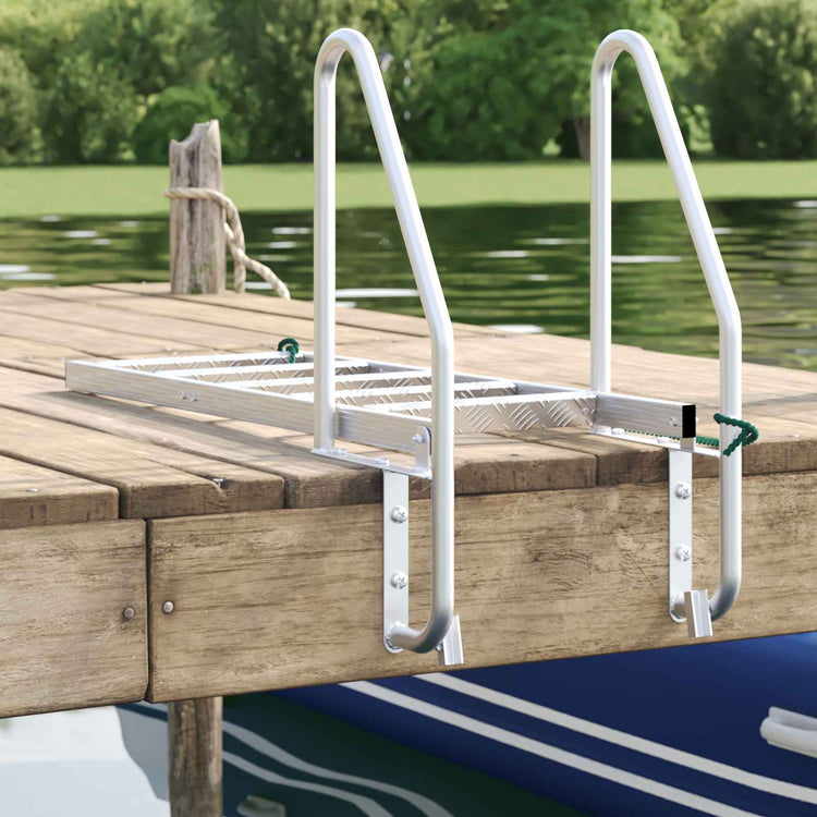 Vidaxx Escalier de port 5 marches argent 58 x 77 x 191 cm aluminium
