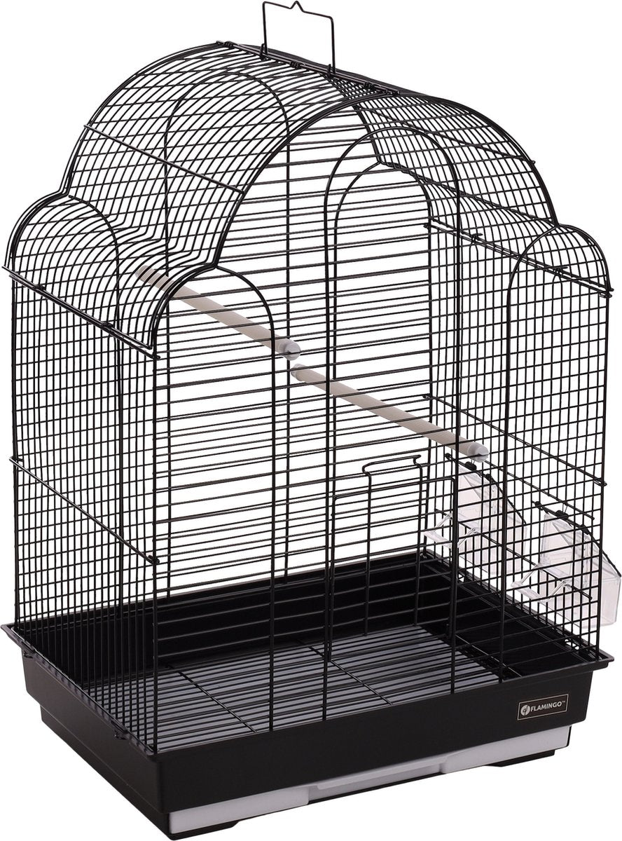 Flamant rose