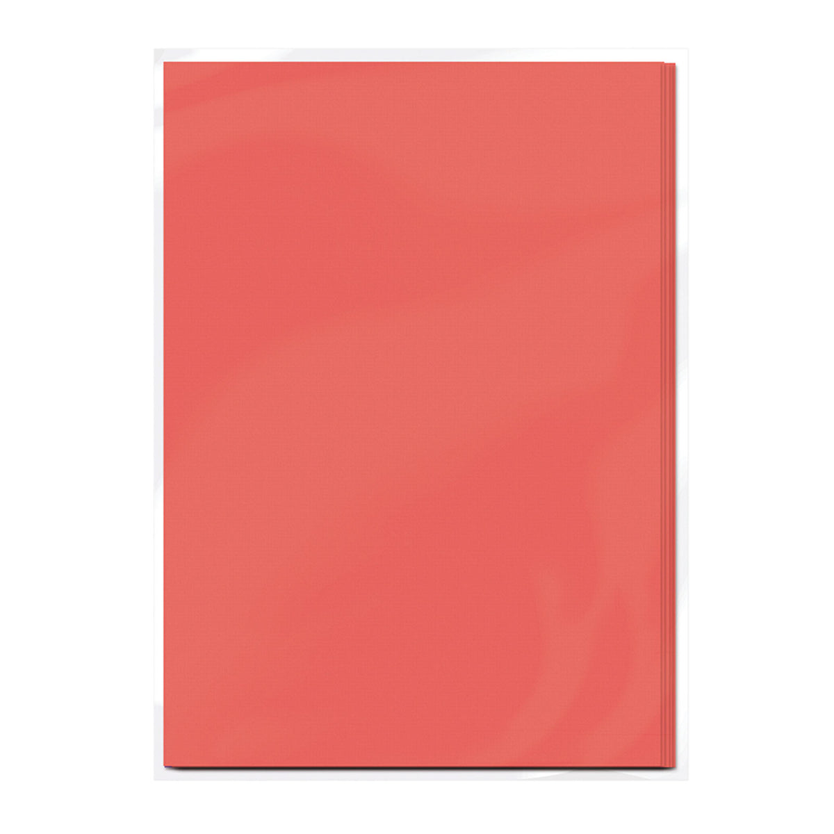 Craft perfect par Tonic Studios Craft Perfect • carte classique a4 10 feuilles rose corail