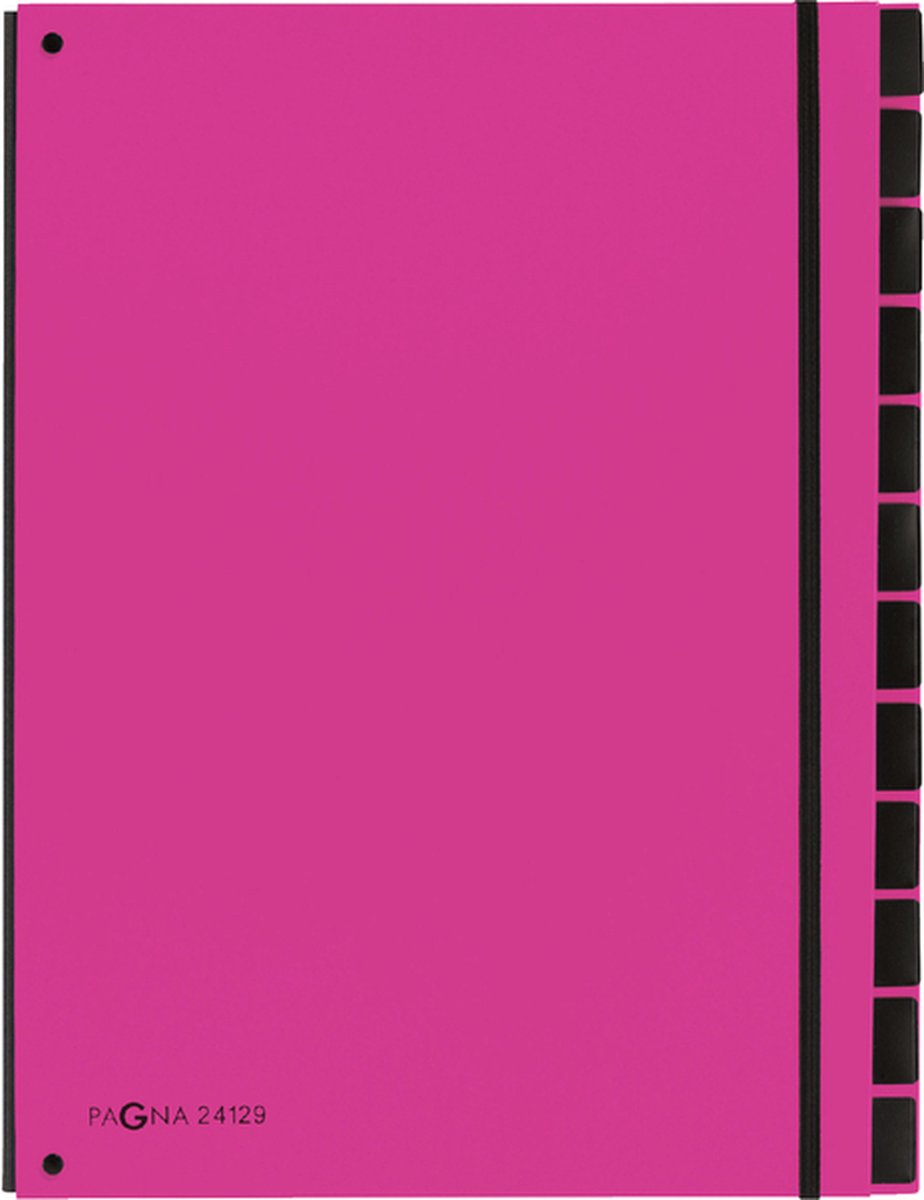 Pagna classeur de tri tendance 12 onglets a4 rose foncé