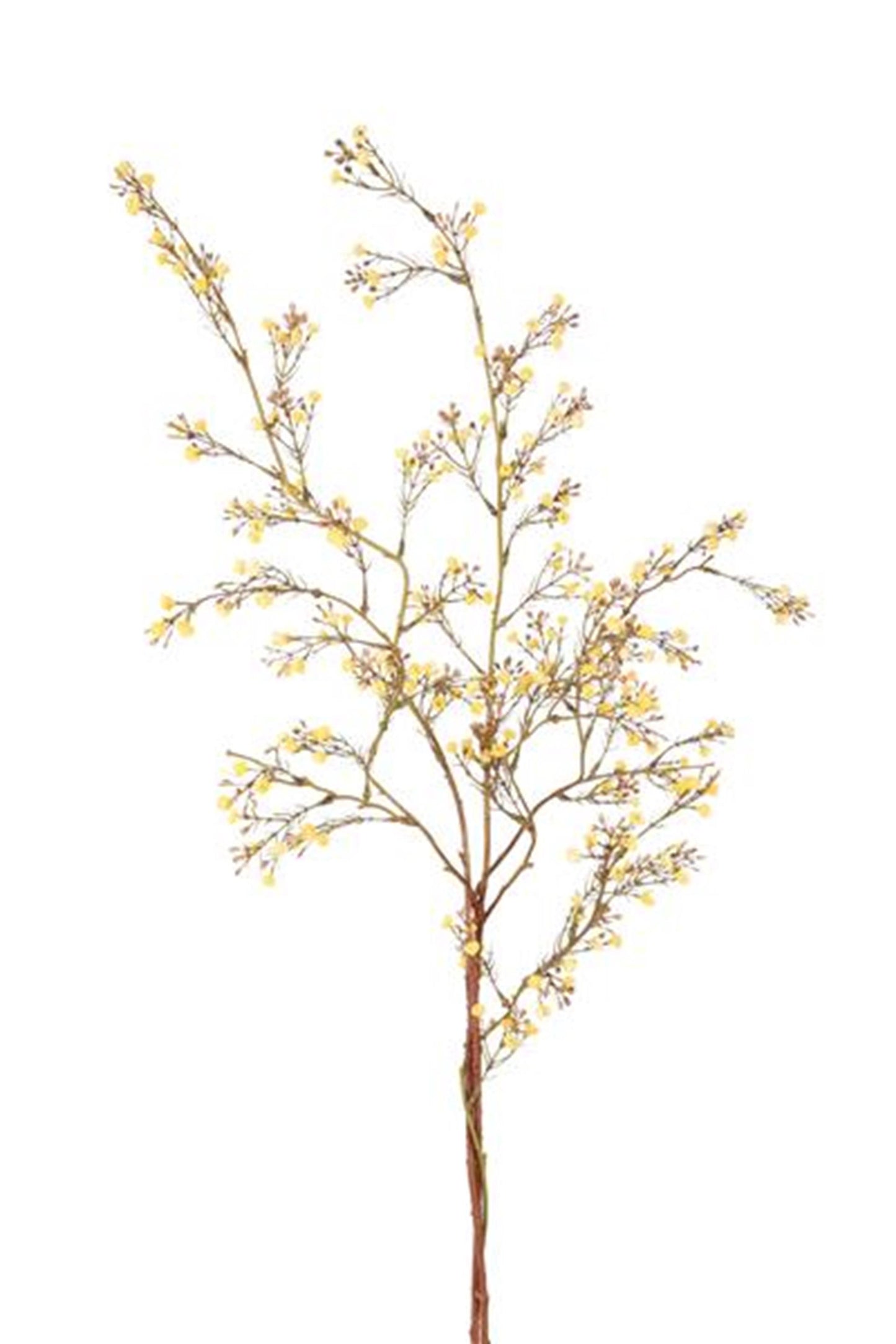 Roberts collection branche artificielle gypsophile jaune 110cm