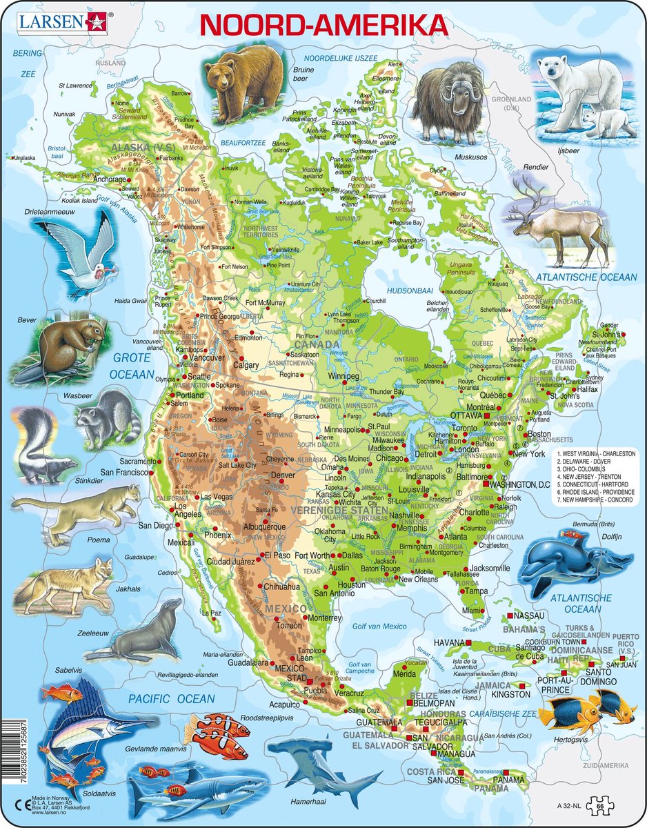 SELECTA Larsen Pluzzle Map North America Géographique avec les animaux, 66e.