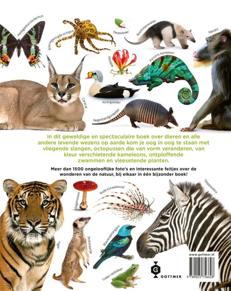 Le livre des animaux. 8+