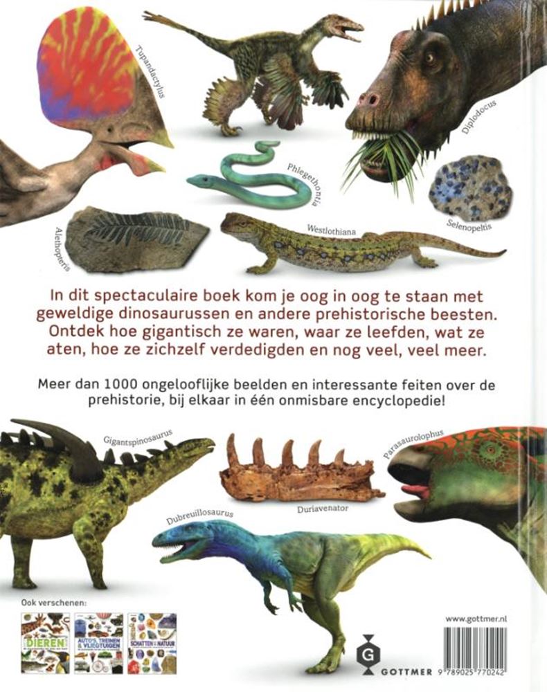 Groupe d'édition Gottmer le livre des dinosaures