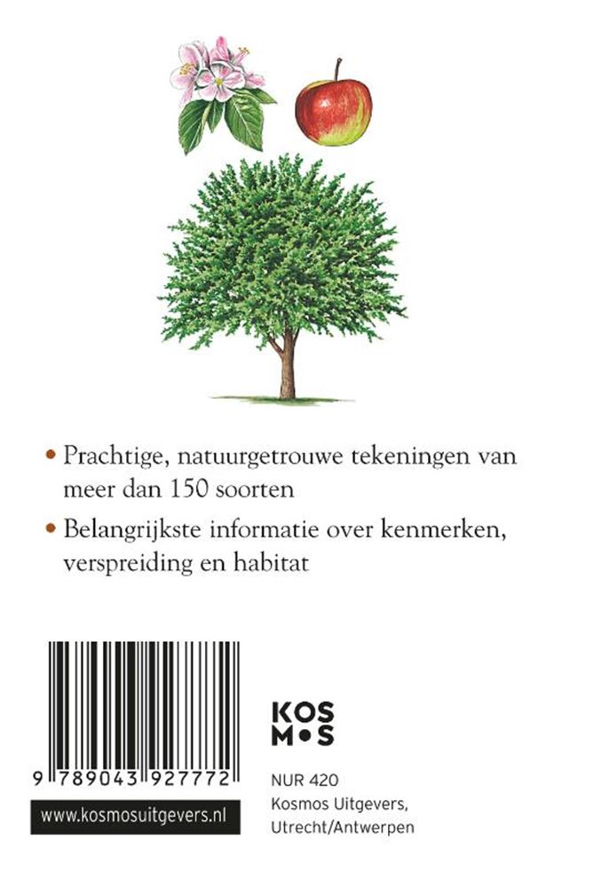 Guide compact des arbres pour adultes