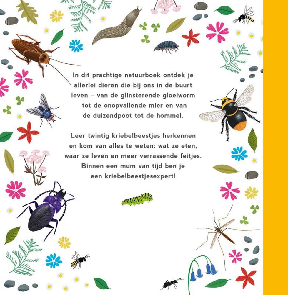 Mon premier livre de créatures chatouillantes. 4+