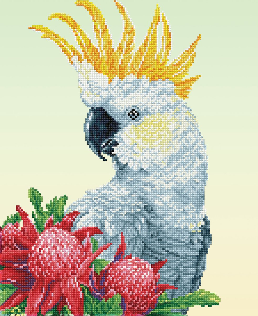 Diamond dotz® Peinture diamant adultes - Pierres rondes - Paquet complet - Hobby - - dd10.059 - Animaux - Warathas cacatoès blanc 51 x 41 cm