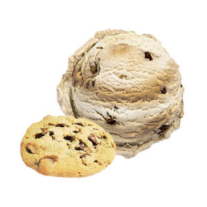 Glace aux biscuits américains Gelato Fantastico (4,7 litres)
