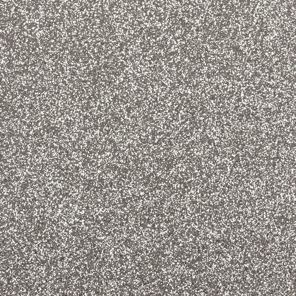 Craft Perfect par Tonic Studios Craft Perfect • paillettes A4 5 feuilles 250 g écran argenté