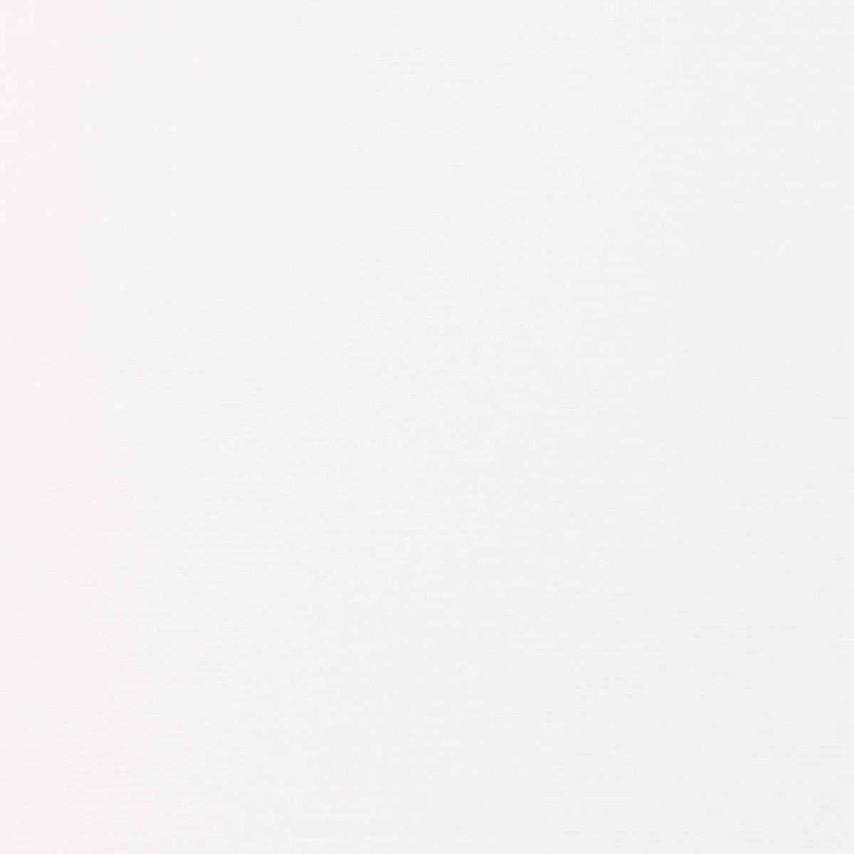 Tonic studios • papier vélin vintage blanc
