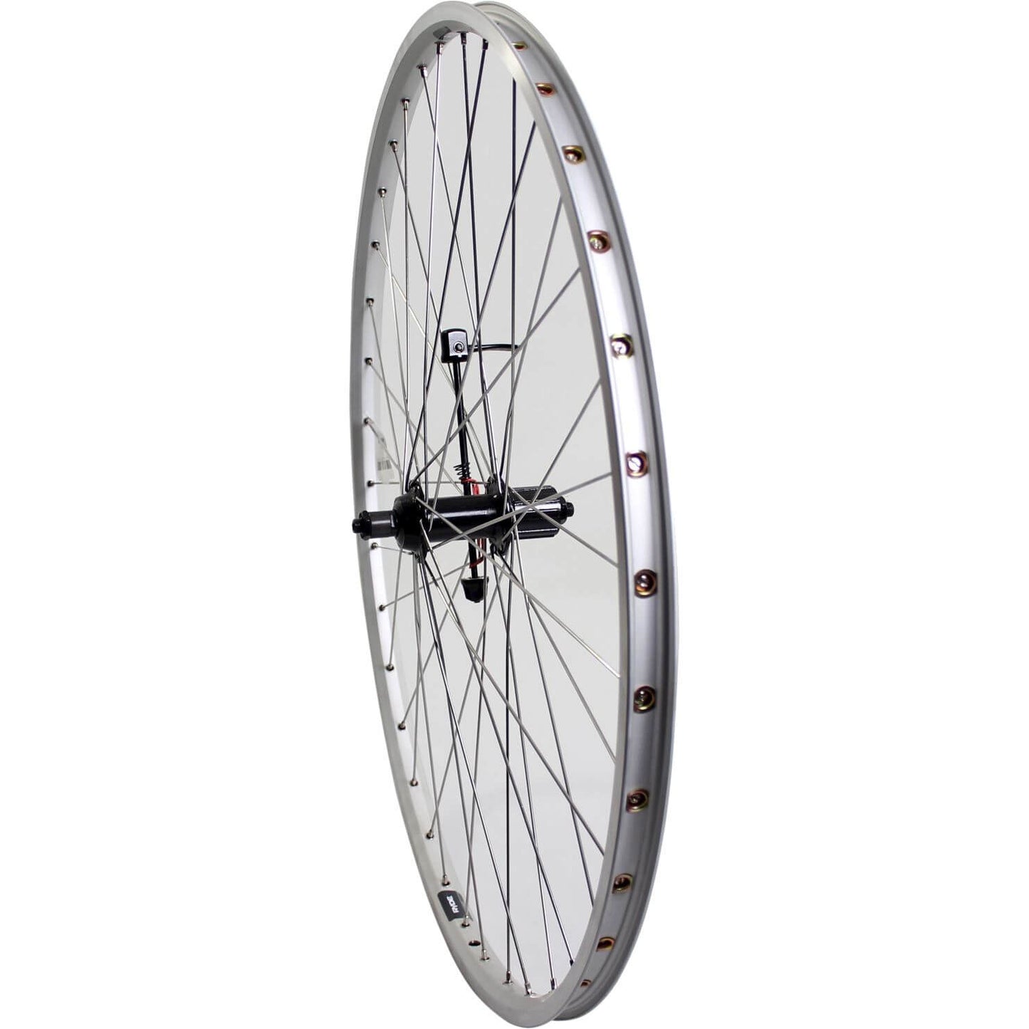 Roue arrière Roland 28 Outage Cass 7V ZAC19 en acier inoxydable en argent SPK