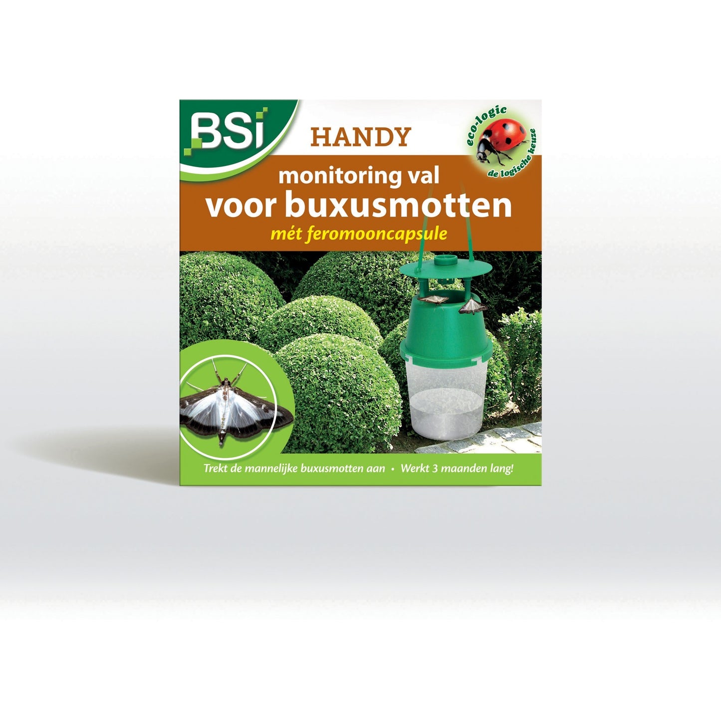BSI Piège à phéromones pour la pyrale du buxus