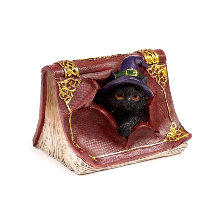 Sorcières Black Cat Mischieuwous Spell Book