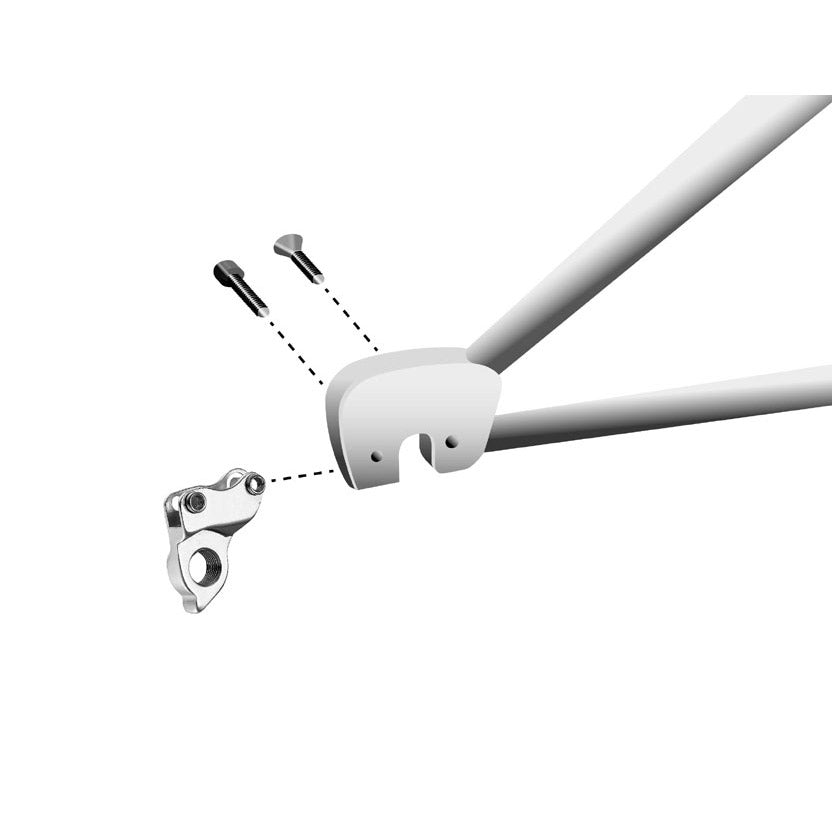 Union Derilleurpad GH-160 Cannondale avec ensemble de vis