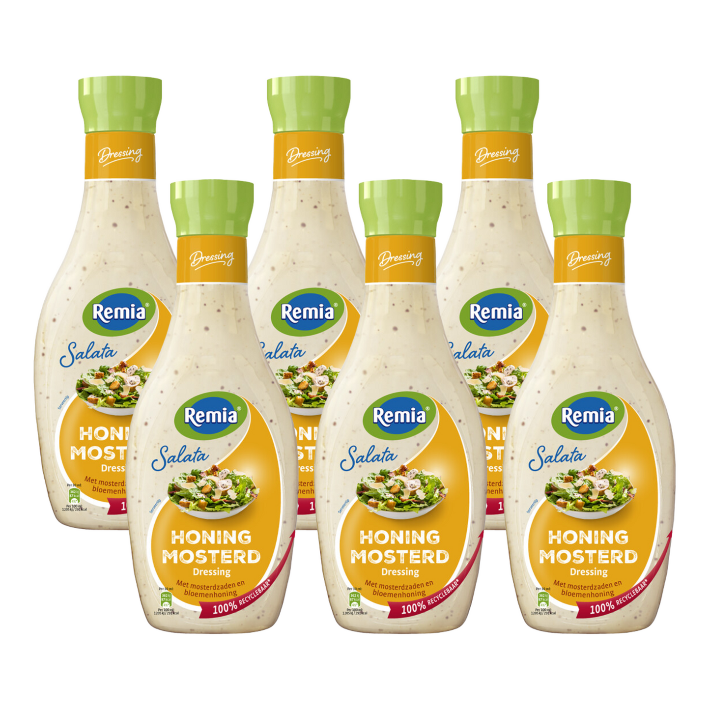 Moutarde au miel Remia salata (6x 450ml)
