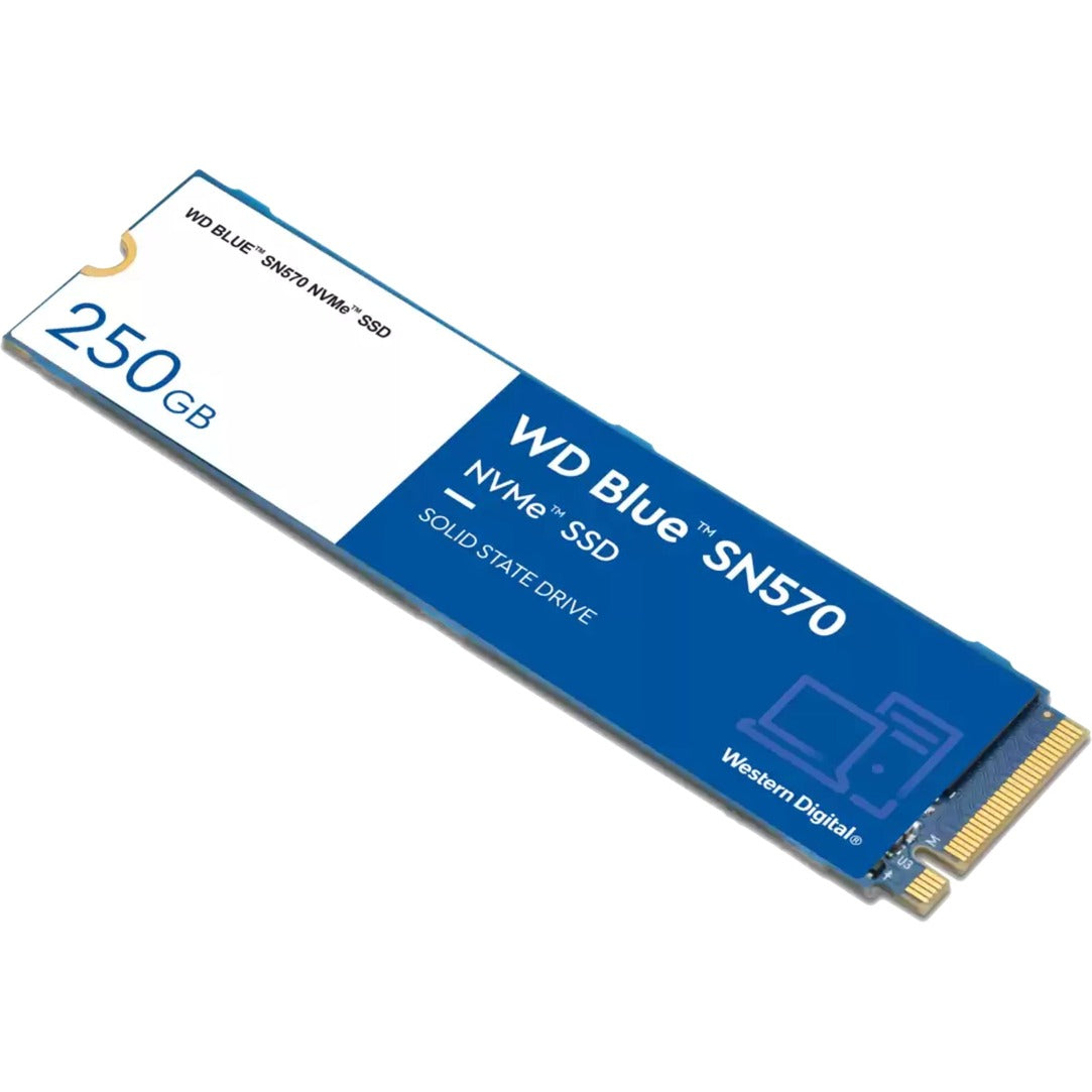 WD Blue SN570 250 Go