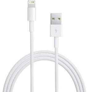 Câble de pomme éclair vers USB 2m blanc