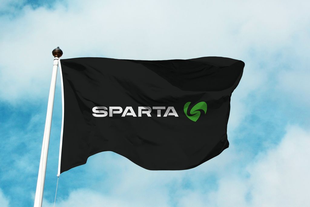 Drapeau Sparte 100x150