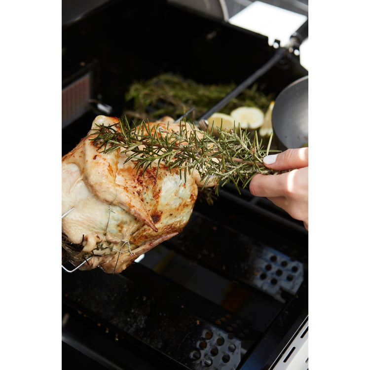BarboCook Universal Turning Spit avec moteur pour Magnus et Sies