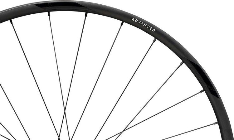 Roue arrière Newmen advanced sl x.r.25 cl fade r 29