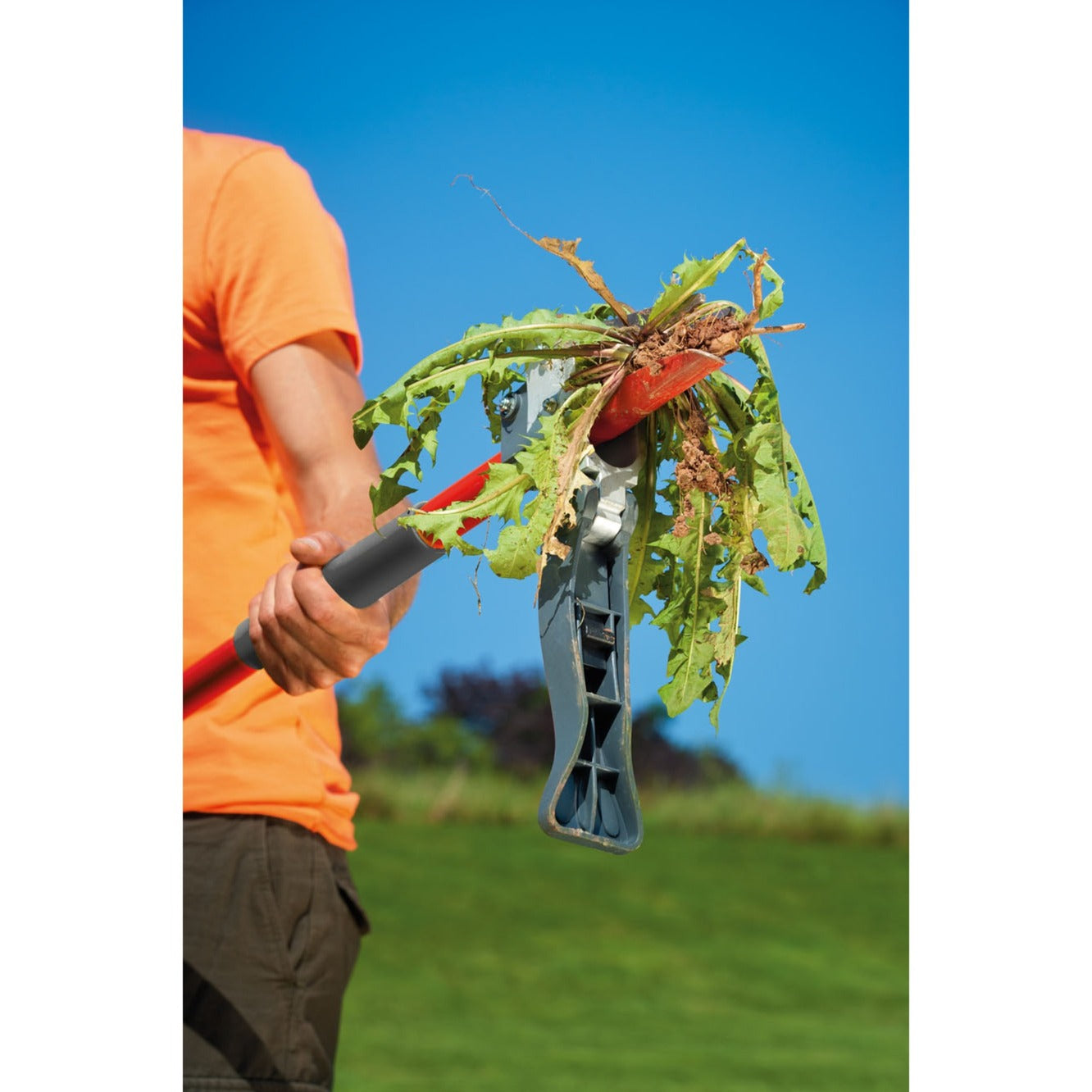 Plug sur les mauvaises herbes de Wolf-Garten iw-a