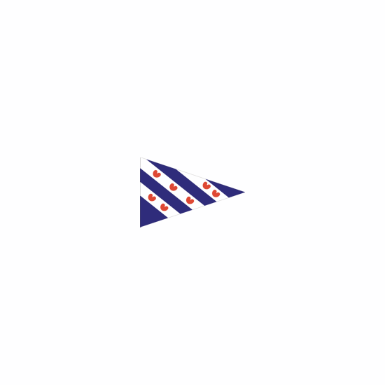 Dokkumer flags drapeau point central Frise 40x60 cm