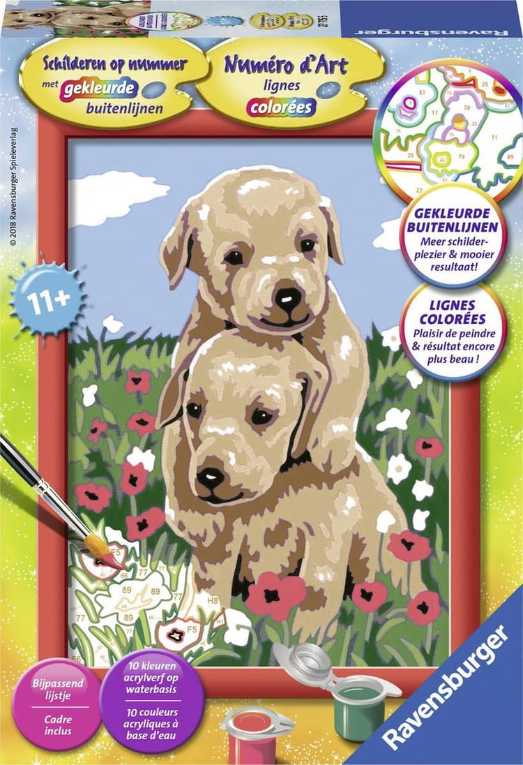 Peinture par numéro - Chiots câlins